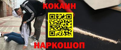 спайс Кингисепп