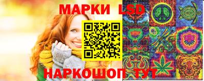 спайс Кингисепп