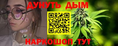 спайс Кингисепп