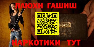 спайс Кингисепп