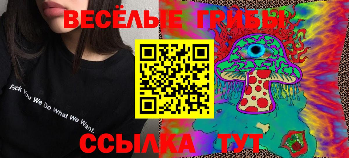 Псилоцибиновые грибы мухоморы  Вход с VPN  Куйбышев  Галлюциногенные грибы Psilocybe 