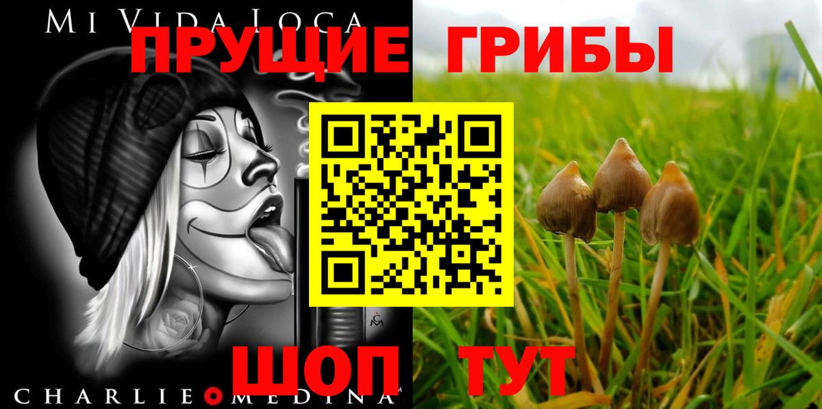 Галлюциногенные грибы ЛСД Куйбышев
